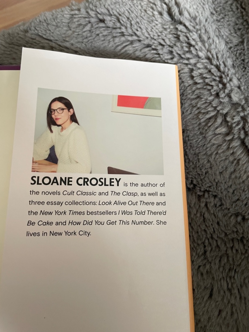 Grief is for People by Sloane Crosley - Picture 4 of 6